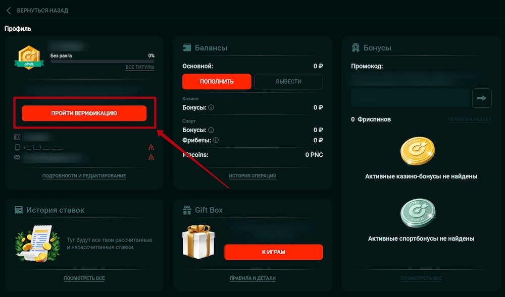 Идентификация профиля